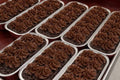CRAVE MINI: Double Chocolate Cookie Crunch