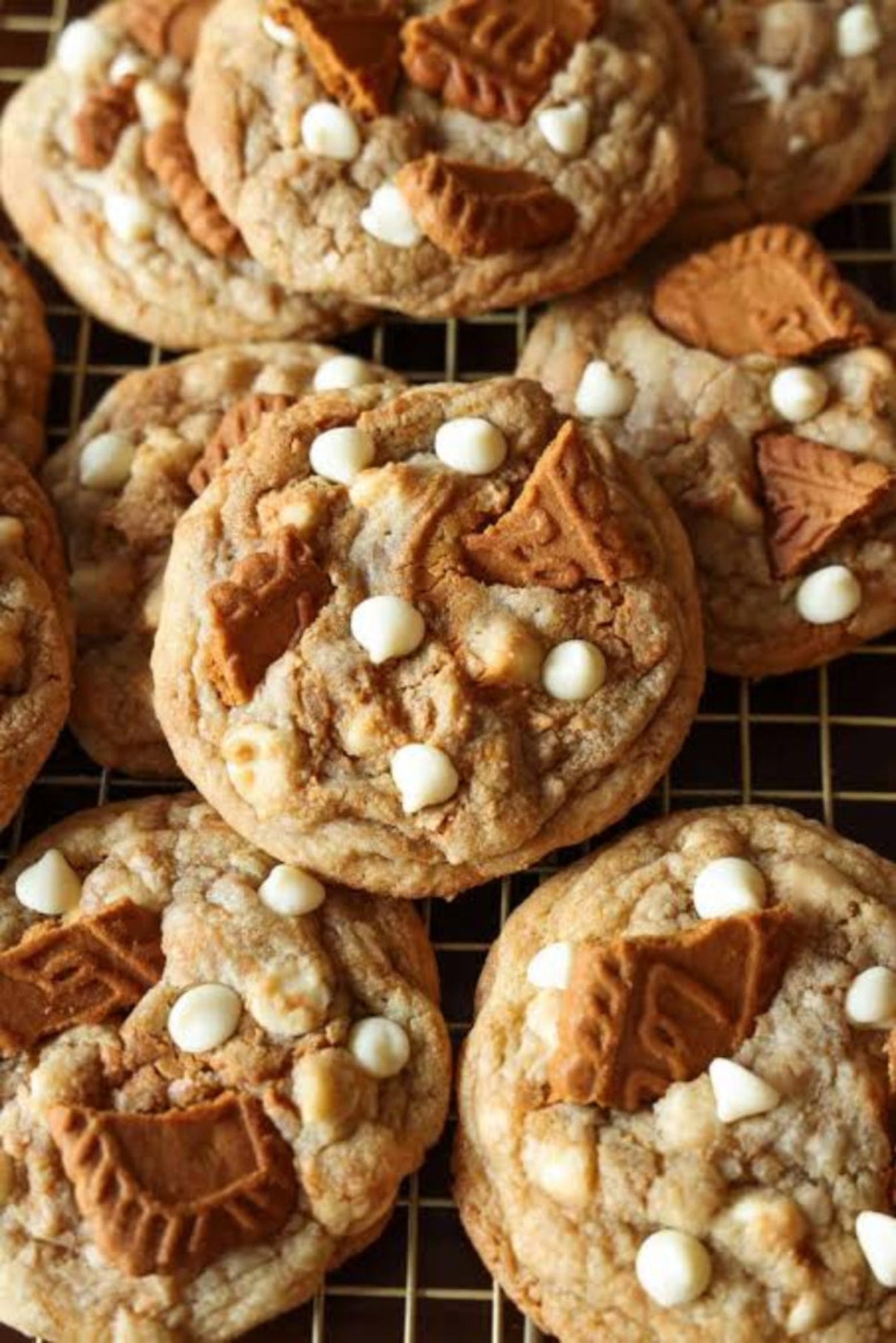 CRAVE COOKIE: Biscoff Cookie Butter Cookie